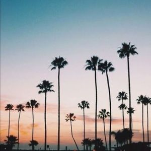 Meet your Posher, Haidee